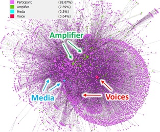 Complementary perspectives on communication flows in Twittered citizen protests